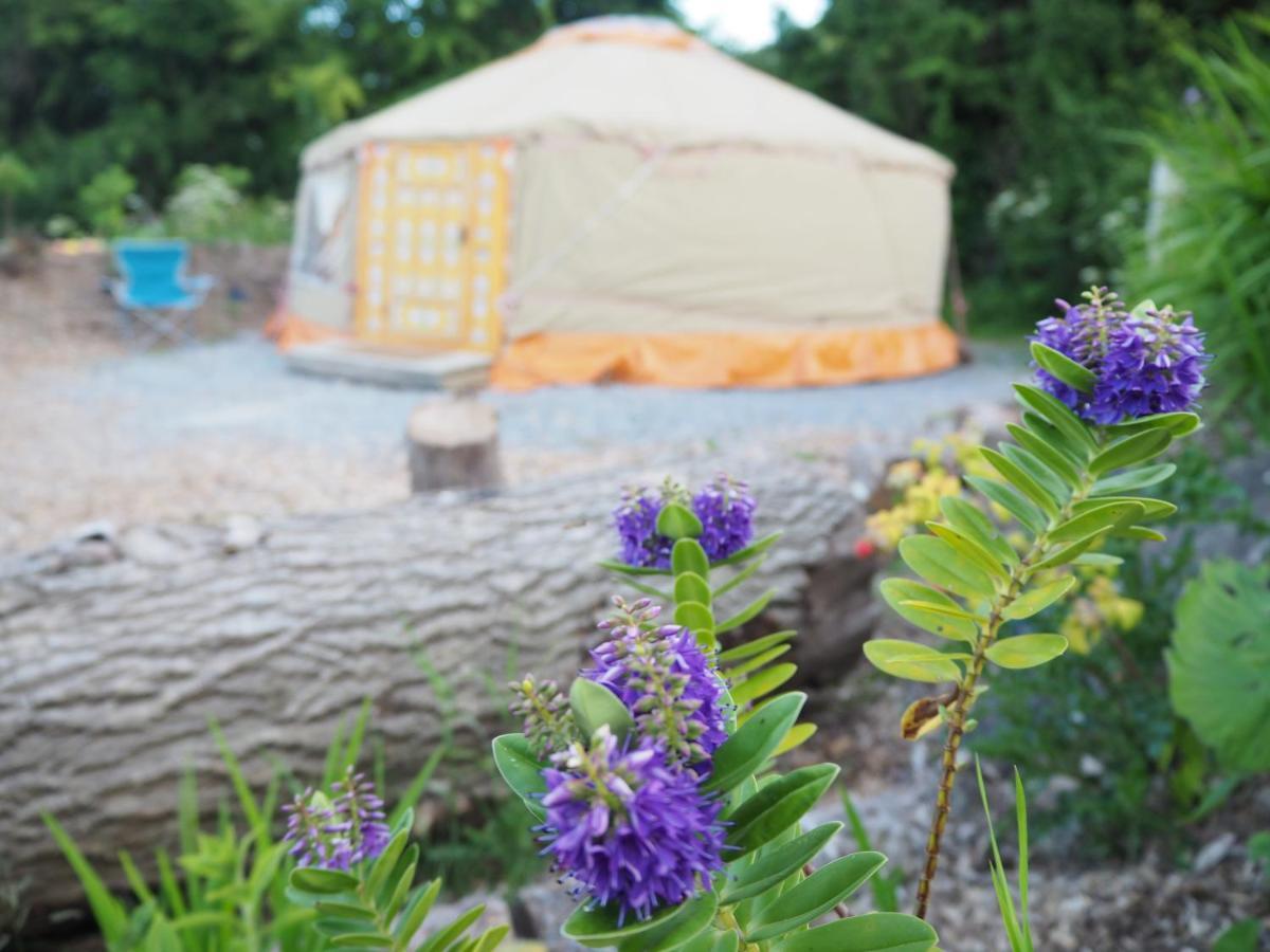 Inch Hideaway Eco Camping Hotel Whitegate  Eksteriør billede